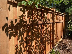 6' Tall Custom Board on Board Privacy Wood Fence